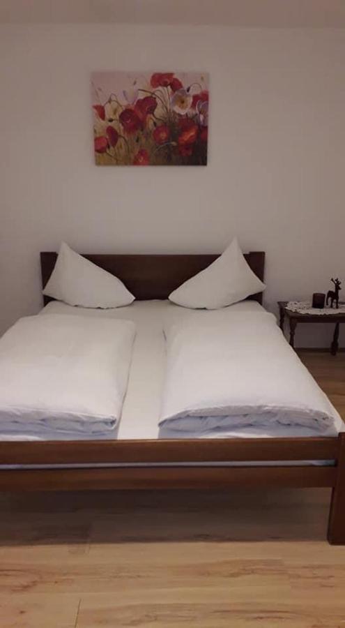 Apartman Milica Пожаревац Экстерьер фото